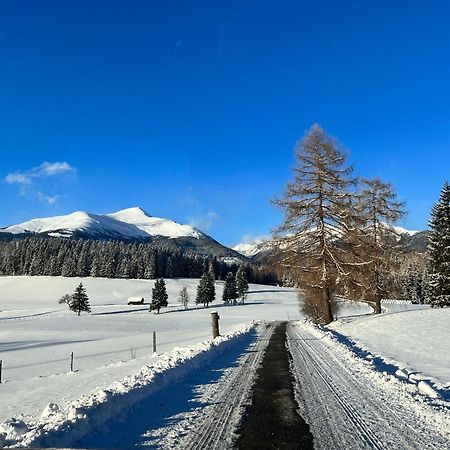 Chalet Am Teich Familie Gaenser Villa Feistritz am Kammersberg Dış mekan fotoğraf