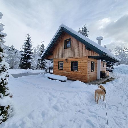 Chalet Am Teich Familie Gaenser Villa Feistritz am Kammersberg Dış mekan fotoğraf