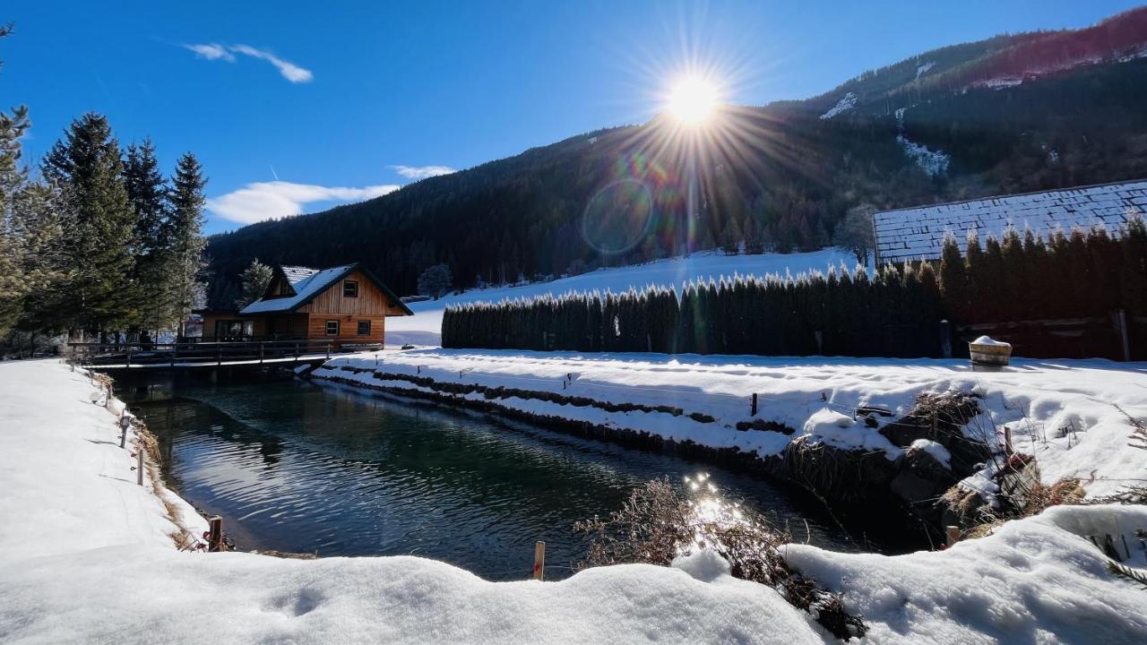 Chalet Am Teich Familie Gaenser Villa Feistritz am Kammersberg Dış mekan fotoğraf