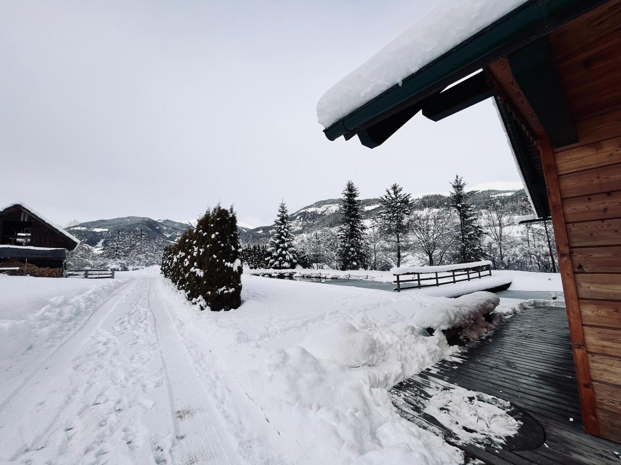 Chalet Am Teich Familie Gaenser Villa Feistritz am Kammersberg Dış mekan fotoğraf
